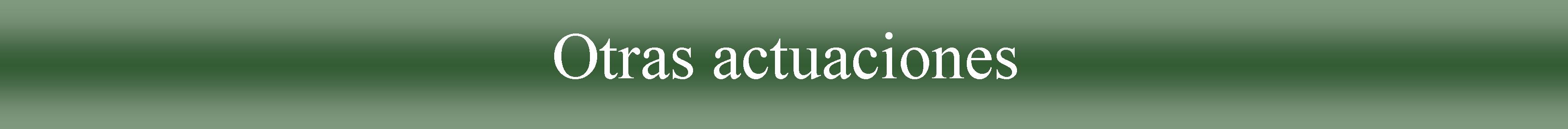 Otras actuaciones.jpg