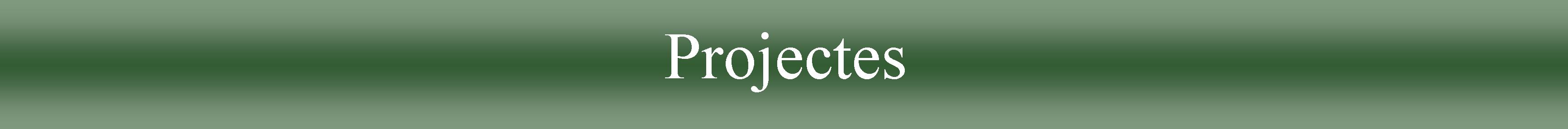 Proyectos.cat.jpg