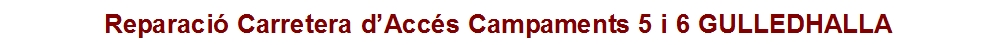 Reparaci&oacute; Carretera d’Acc&eacute;s Campaments 5 i 6 GULLEDHALLA